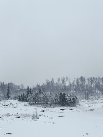 Beautiful winter landscape with snowy trees. Outdoor photo of pine trees covered with snow. Countryside during winter..の写真素材