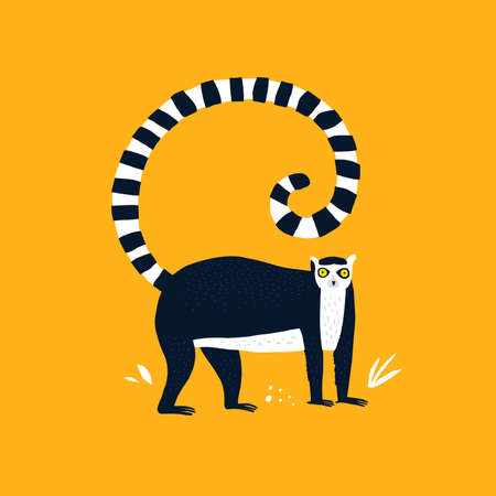 Ring tailed lemur hand drawn vector illustration. Adorable primate, exotic animal cartoon character. Cute tropical macaco isolated on yellow background. Childish t shirt print designのイラスト素材