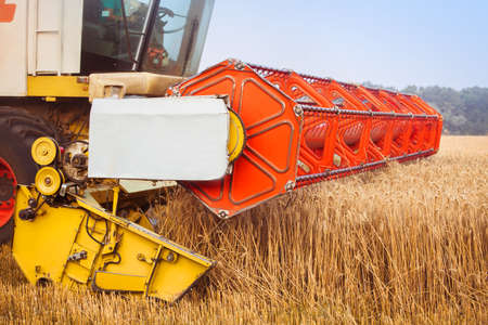 Combine-harvester on wheat fieldの写真素材