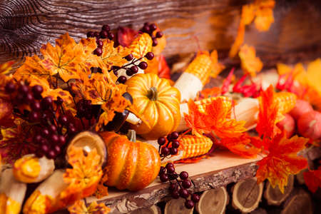 Autumn still life with marple leaves, vinous berries and october vegetables at the dark wooden background.の写真素材