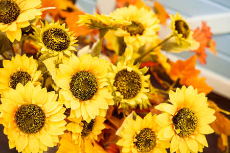 bouquet of sunflowerの写真素材