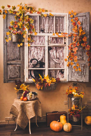 Autumn decorated patio. Vintage window shutters entwined with yellow leaves, painted black cat and spiders looks out of the window. Smiling pumpkins lying at the floor.の写真素材