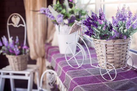 Lavender flowers in small decorative bicycle pot stand on the windowsill. Spring interior design of room. Side view.の写真素材