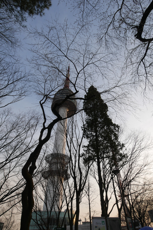 Twilight time of Seoul Tower with the silhouette Tree Shape Foreground, South Korea. / 1 April 2016のeditorial素材