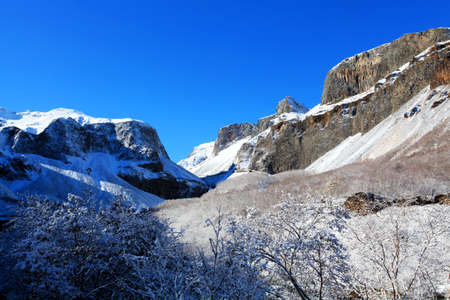In Changbai mountain