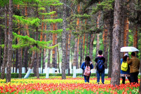 Couplesのeditorial素材
