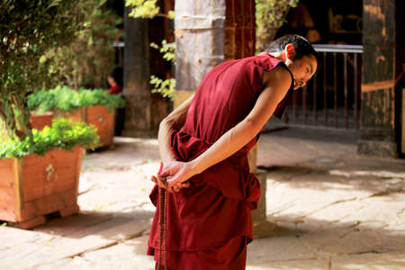 Zaba のeditorial素材