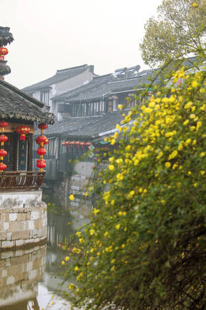 Xitang ancient townのeditorial素材