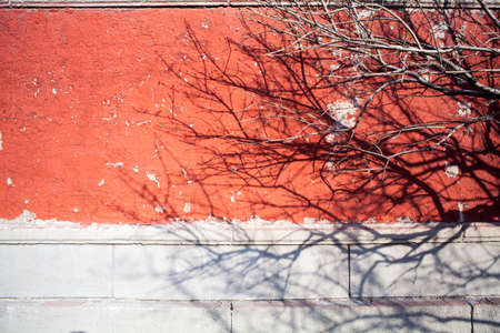 Ancient red brick wallの写真素材