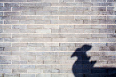 Brick wallsの写真素材
