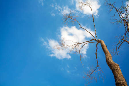 Blue sky and white clouds