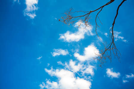 Blue sky and white clouds
