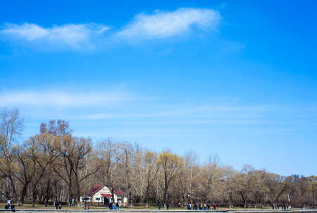 Spring clouds building treesの写真素材