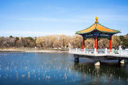 Spring in the Bower Lakeのeditorial素材