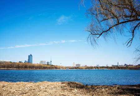 Spring Lake viewの写真素材