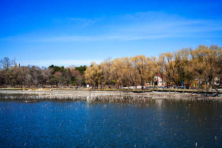 Spring Lake sceneryの写真素材