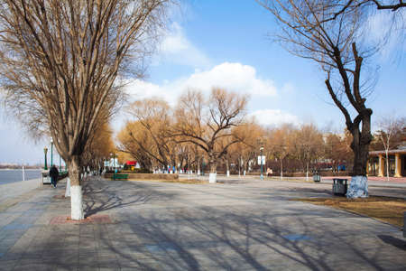 North Street Spring  sceneryの写真素材