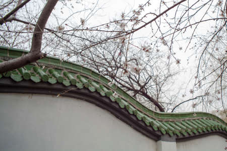 Peach and Chinese wall