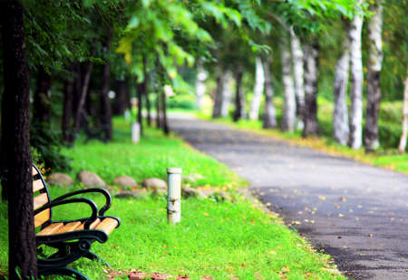 Pine trails and seat at Park