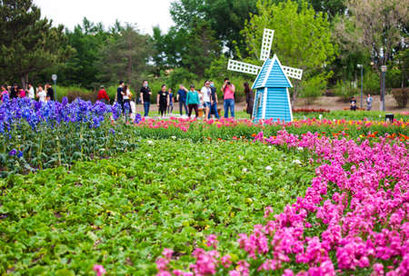 Garden of flowersのeditorial素材