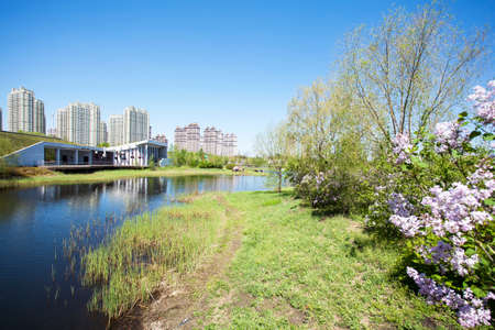 urban wetlandのeditorial素材