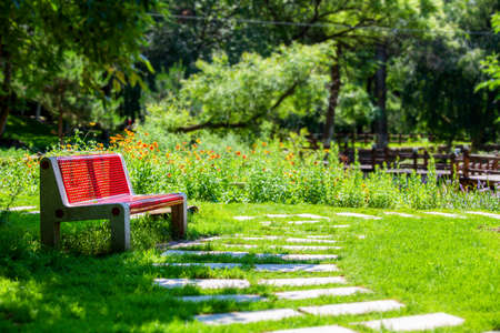 Chair pathの写真素材