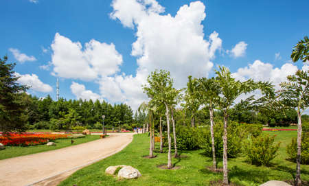 Blue sky and white cloudsの写真素材