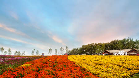 Lavender Manorのeditorial素材