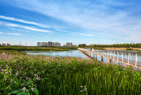 Urban sceneryのeditorial素材