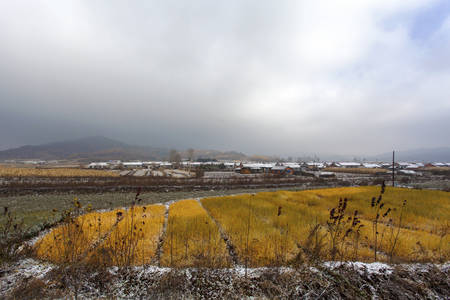 farmlandの写真素材