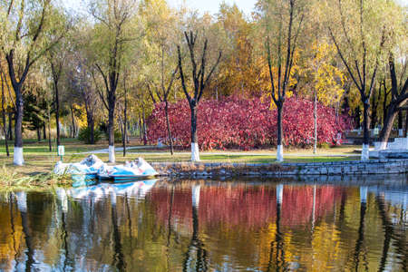 The reflection of the blue sky and yachtのeditorial素材