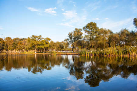 park scenery and reflectionの写真素材