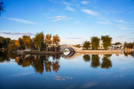 park sceneryの写真素材