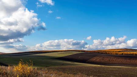 Autumn pastureの写真素材