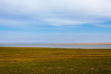 Autumn pastureの写真素材