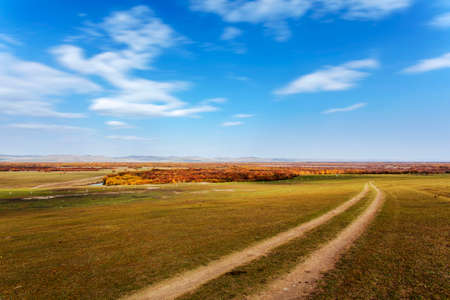 Autumn pasture in Hulun Buir Grasslandの写真素材