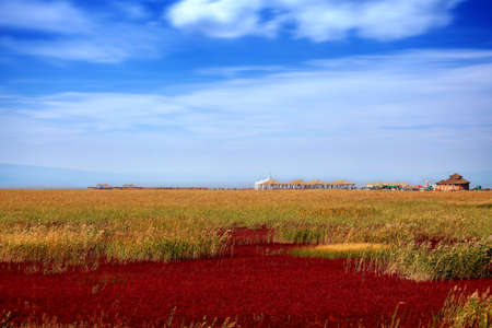Red beach in Panjinのeditorial素材