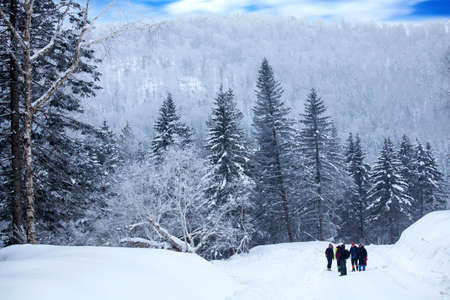 Linhaixueyuan visitors