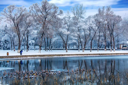 wintertime snow sceneの写真素材