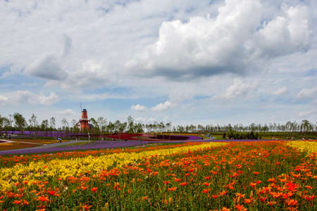 Lavender field in Harbinのeditorial素材