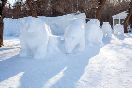 Snow bearsのeditorial素材