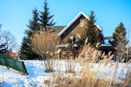 The winter snow reed Volga manor Villaのeditorial素材