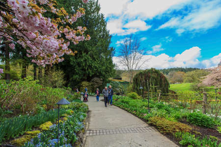 Landscape view of flower garden