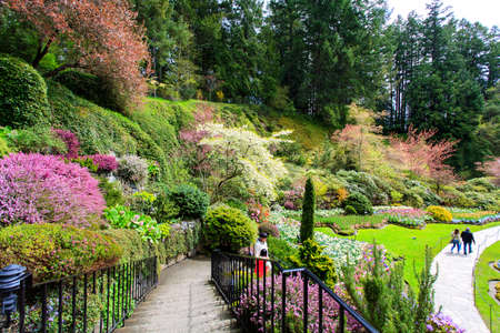 Bouchard garden panoramic viewのeditorial素材