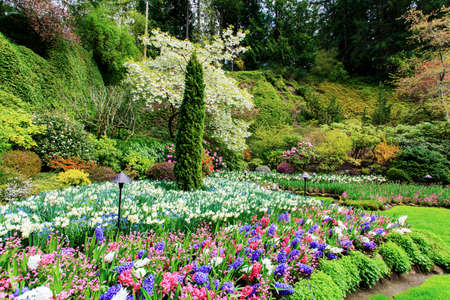 Butchart Gardensのeditorial素材