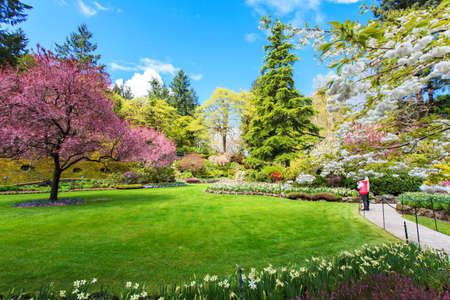 Green tulip flowers sunken garden landscape viewのeditorial素材