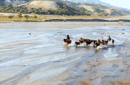 Horse riding performance in Inner Mongoliaのeditorial素材