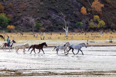 Inner Mongolia water horse riding performanceのeditorial素材