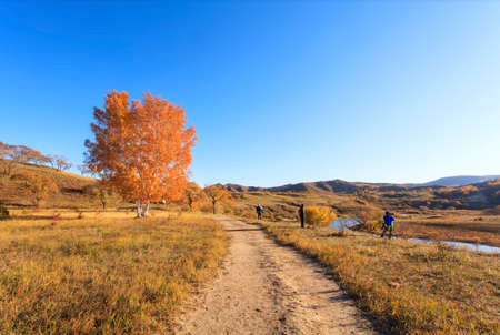 Nature landscape scenery view of Ulan Buh grasslands during autumnの写真素材