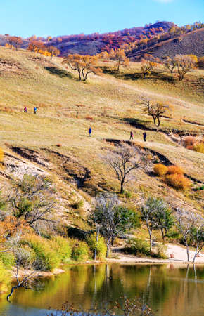 Nature landscape scenery view of Ulan Buh grasslands during autumnの写真素材